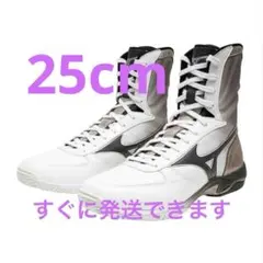 2026年最新】ボクシングシューズ ミズノの人気アイテム - メルカリ