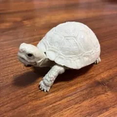 【未使用】亀のフィギュア