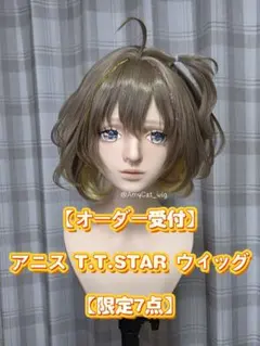 ​【オーダー受付ページ】アニス T.T.STAR ウィッグ コスプレ【限定7点】