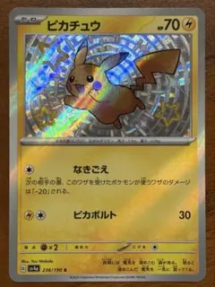 ピカチュウs 色違いピカチュウ