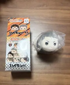 ハイキュー もちぴこマスコット 田中龍之介 - メルカリ