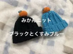 Item thumbnail for item f1ffd901-6bd5-49d5-a558-67889e0cf4c8