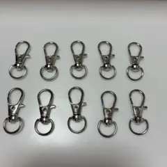 ナスカン　10個セット