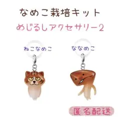 なめこ栽培キット めじるしアクセサリー2 ねこなめこ　ななめこ