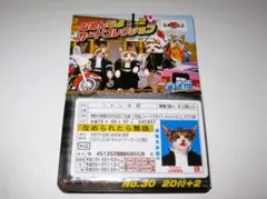 新品【なめ猫 カード 22枚】F なめんなよ なめねこ 猫 ねこ なめんなよ猫