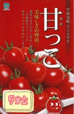 RUNBA様 リクエスト 2点 まとめ商品