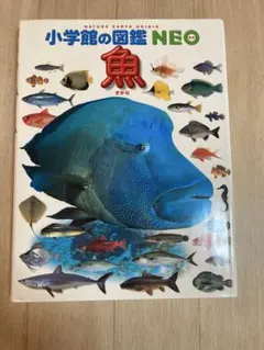 小学館の図鑑NEO 魚　カバー付き