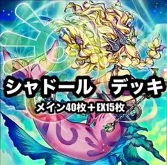 遊戯王 シャドール 本格構築 デッキ 誘発 汎用 複数あり 灰流うらら