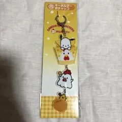 サンリオくじ からあげクン×サンリオキャラクターズ ポチャッコ キーホルダー