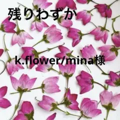 k.flower/mina様 リクエスト 2点 まとめ商品