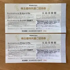 Bunkamuraザ・ミュージアム　五島美術館　Bunkamuraル・シネマ２枚