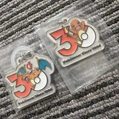 ポケモン 30周年 メタルチャーム　2点セット