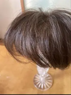 2026年最新】ジュリア オージェ ウィッグの人気アイテム - メルカリ