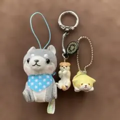 ぷちまる 柴犬 ストラップ キーホルダー 3点セットのサムネイル