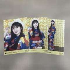 乃木坂46 生写真 真夏の全国ツアー2026 浴衣 コンプ 五百城茉央 - メルカリ