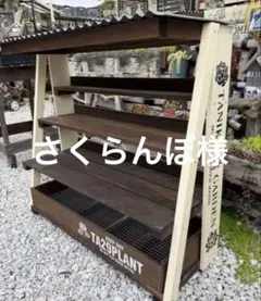 多肉棚 多肉植物棚 木製ディスプレイシェルフ 屋根付 WHITE - メルカリ