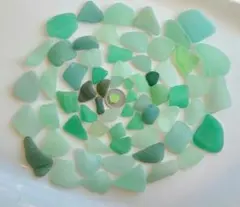 苔アートmana様 リクエスト 2点 まとめ商品