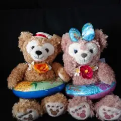 TDS ダッフィー&シェリーメイ『サニーファン』ぬいぐるみ付きパスケース セット