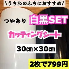 艶あり うちわ用 規定外 対応サイズ カッティングシート 白黒　2枚