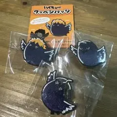 日向翔陽 影山飛雄 山口忠 ワッペンバッジ ハイキュー!!