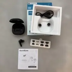 soundcore P40i ケース＋左耳のみ