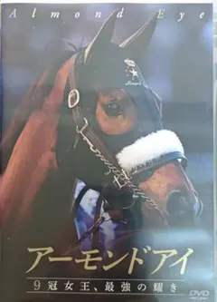 Item thumbnail for item 20828c2c-16df-48ef-8413-89630966a2b5