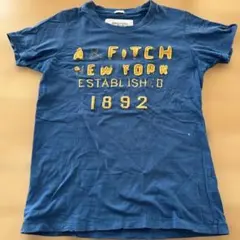 Abercrombie & Fitch アバクロ　ブルー　刺繍Tシャツ M