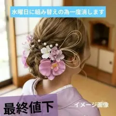 髪飾り 成人式 七五三 結婚式 パーティ 和装 婚礼 胡蝶蘭　パール　水引