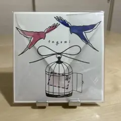 藤田麻衣子