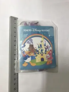 JALパック　ディズニー　パスケース