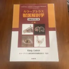 2025年最新】カラーアトラス獣医解剖学〈下巻〉の人気アイテム - メルカリ