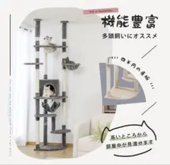 新商品‼︎ キャットタワー 据え置き 大型 多頭飼い 175cm ライト