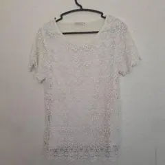 総レーストップス