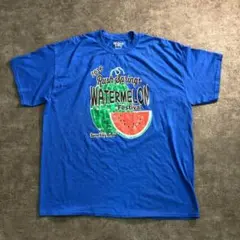 GILDAN スイカフェスTシャツ ブルー　古着useSM73
