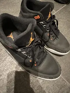 【値下げ】Nike Air Jordan 3 Retro 