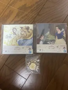 ディズニープリンセス一番くじ F賞 ミニキャンバスボード 2種 アクキーセット