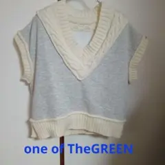 Item thumbnail for item 70580814-f42f-4f59-a6e1-f7092958458c