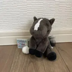 アイドルホース　イクイノックス　限定品のサムネイル
