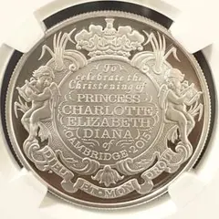 2015 スイス 射撃祭 50フラン銀貨 NGC PF69 - メルカリ