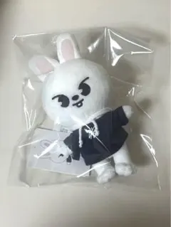 2025年最新】リービット skzooの人気アイテム - メルカリ