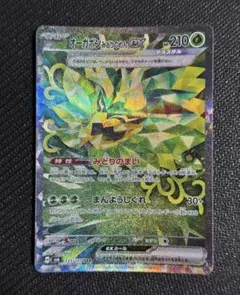 グレープ@断捨離様 リクエスト 2点 まとめ商品