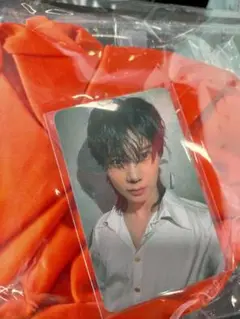 TAEMIN AREANATOUR Veil トレカ シュシュ＆スカーフ テミン