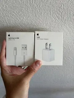 Apple Lightning to USB 1m+Power Adapter