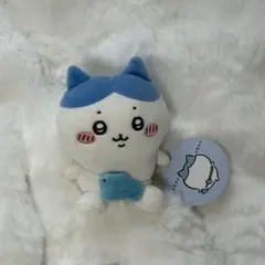 ハチワレ　お出掛け楽しみ！お座りミニぬいぐるみ