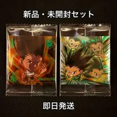 7弾 HUNTER×HUNTER シールウエハース 念レア極 ゴン 2枚セット