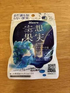 カンロ　空想果実　イトピスの実のサムネイル