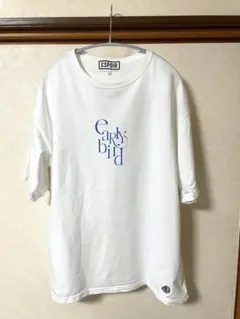 【美品】Beauty&Youth ESPOIR プリントTシャツ L