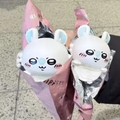 HIPPERS CHIIKAWA ヒッパーズ モモンガ　セット　単体