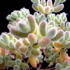 norinori様 リクエスト 3点 まとめ商品