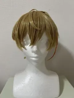 ✠朝倉 シン ウィッグ✠セット済 SAKAMOTODAYS - メルカリ